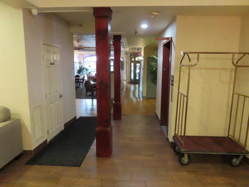 St. Charles Hotel - 로비