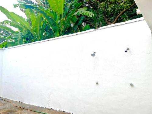 Beach House in the Jungle HighSpeed Wifi, AC in Santa Cruz, Mexico