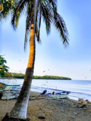Beach House in the Jungle HighSpeed Wifi, AC in Santa Cruz, Mexico