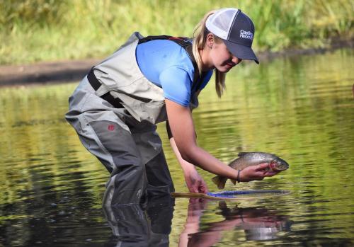 Chester Currents by KABINO Riverfront on Henrys Fork Air Conditioning Boat Launch Foosball Pool Table Huge Yard Garage WIFI Chester Currents by KABINO Riverfront on Henrys Fork Air Conditioning Boat Launch Foosball Pool Table Huge Yard Garage WIFI