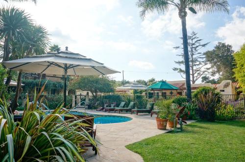 39576060 Blue Iguana Inn