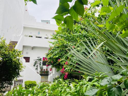 B&B Jaipur - Mosaics Guest House - Bed and Breakfast Jaipur