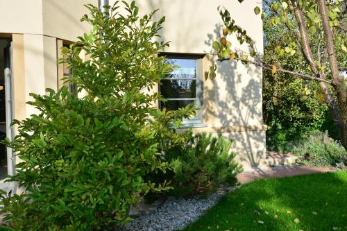 Vila Krocinka - main image