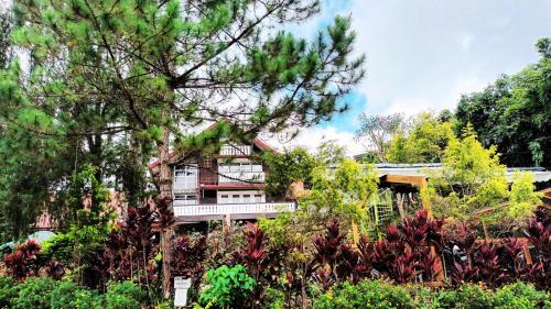 Log Cabin Hotel - Safari Lodge Baguio