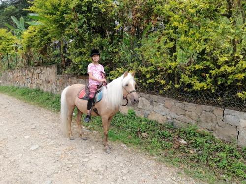 Rancho Ecoturistico el Faro