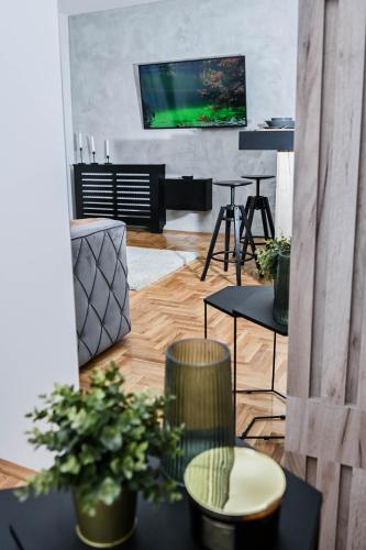 Cozy Apartment Plus Novi Sad