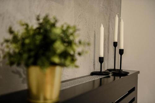 Cozy Apartment Plus - image 4