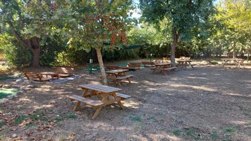 Camping Dafna - By Travel Hotel Chain