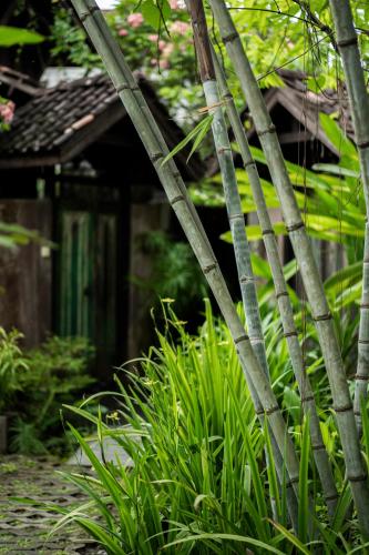 Yabbiekayu Eco-Bungalows