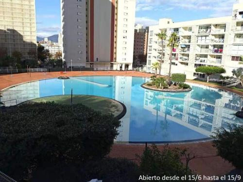 Holiday Apartment Benidorm Spain - image 8