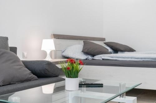 Affordable & Comfortable 1BR Studio Apartment, Vienna (foto 6)
