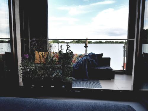 Apartament nad Wilgą (Apartament nad Wilga) in Гарволін
