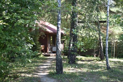 Beržų namelis - Birch cabin