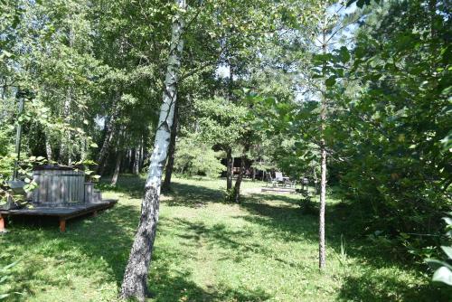 Beržų namelis - Birch cabin