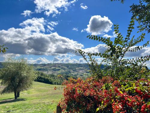 Campo della Corte