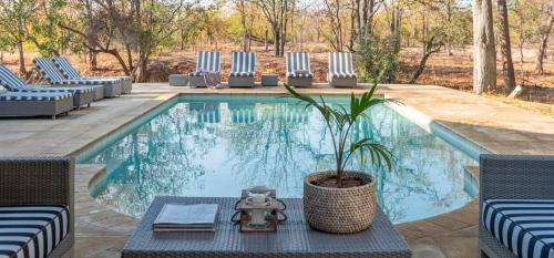 Kolam renang, Xanatseni Private Camp in Taman Nasional Kruger