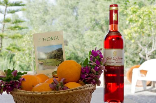 Agroturisme s' Horta - image 10