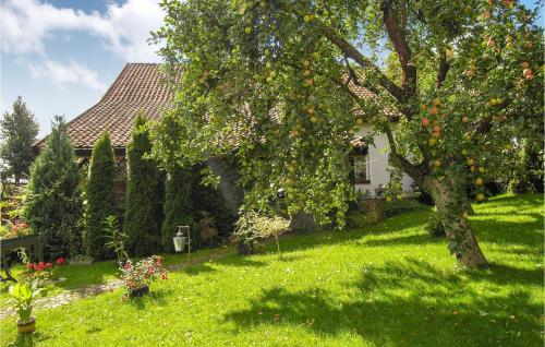 Awesome home in Lidzbark Warminski with Sauna and 5 Bedrooms - main image