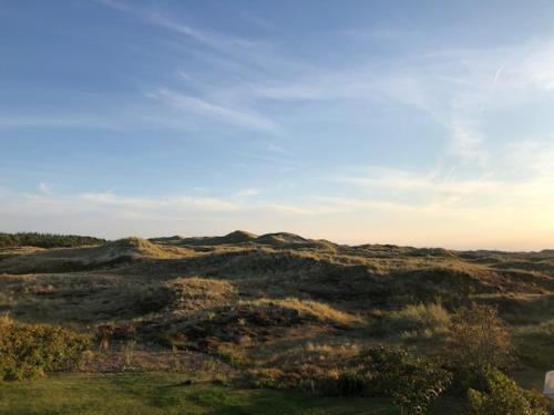 Düne13, Norddorf (foto 6)