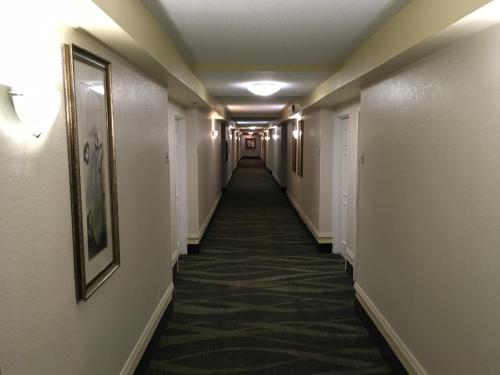 Hotels Image