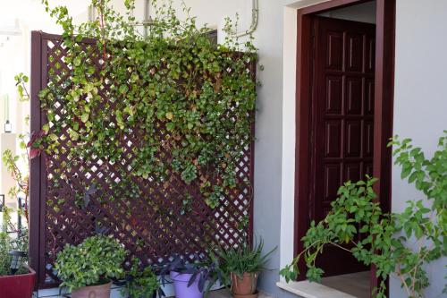  Kate-Mari studios in Skala