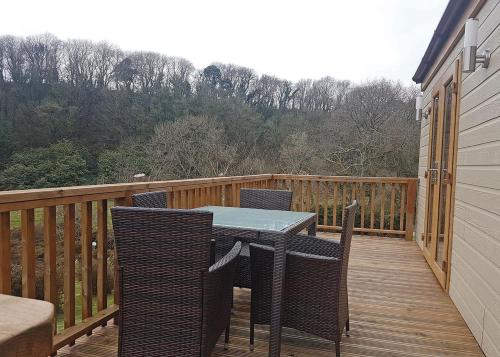 Llwyngwair Manor Holiday Park