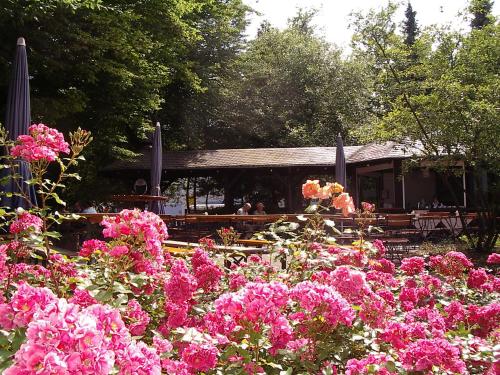 Hotel Bitburg - image 2