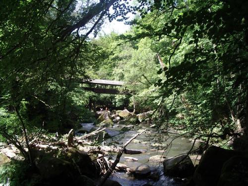 運動及活動, Hotel Bitburg in 比特堡