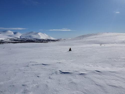 Book in Borgafjäll - New cabins for rent at the slalom slope