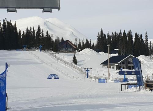 Book in Borgafjäll - New cabins for rent at the slalom slope