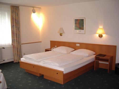 Hotel Bitburg - image 11