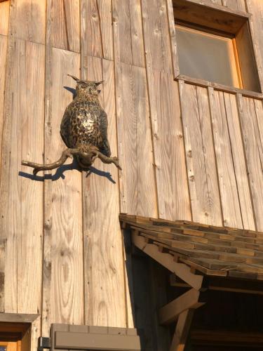 Tiny-House sous les arbres et les oiseaux in แซ็ง-โซแวร์-ออง-ปุยแซย์