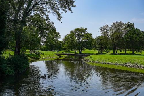 Sawmill Creek by Cedar Point Resorts