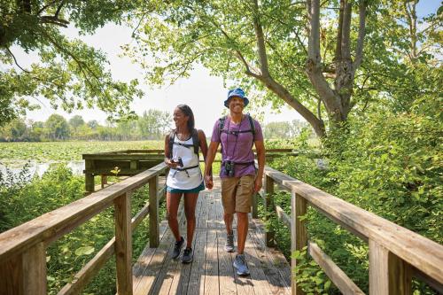 Sawmill Creek by Cedar Point Resorts