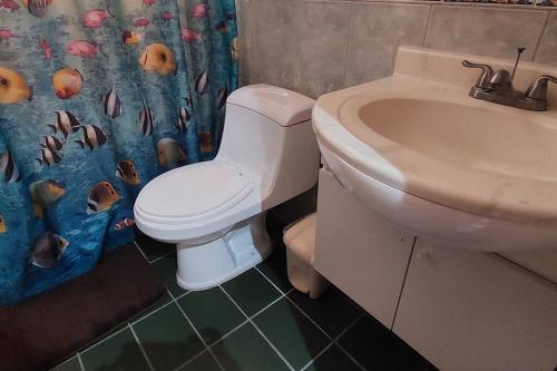 샤워실, Cómodo apartamento en Naguanagua (Comodo apartamento en Naguanagua) in 엘 비네도 발렌시아