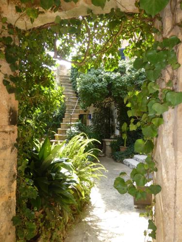 Finca Raims - image 5