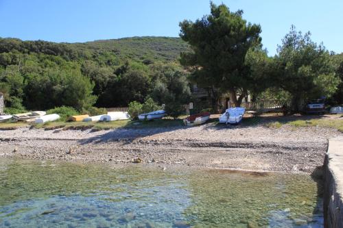 Apartments by the sea Cove Merascica, Cres - 8071 - Štivan