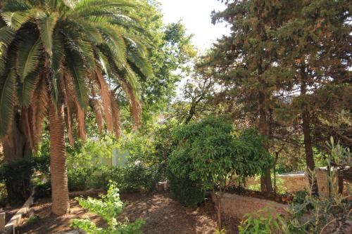 Holiday house with WiFi Mali Losinj (Losinj) - 8014 - image 11