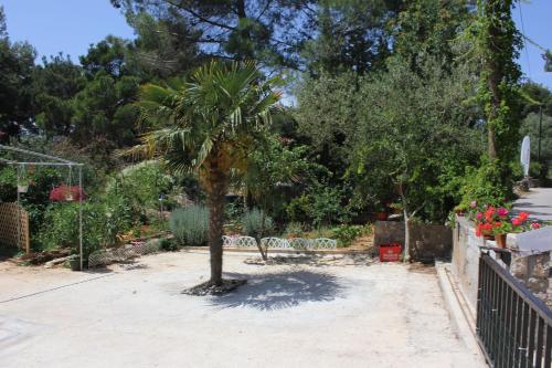 Apartments by the sea Artatore, Losinj - 7935