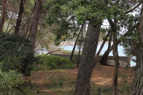 Apartments by the sea Artatore, Losinj - 7935