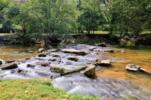 Creek Front Oasis