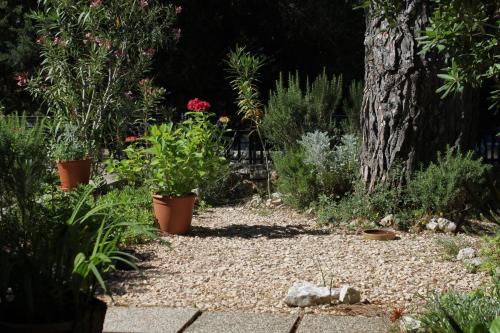 Apartments with a parking space Artatore Losinj - 8087 - image 3