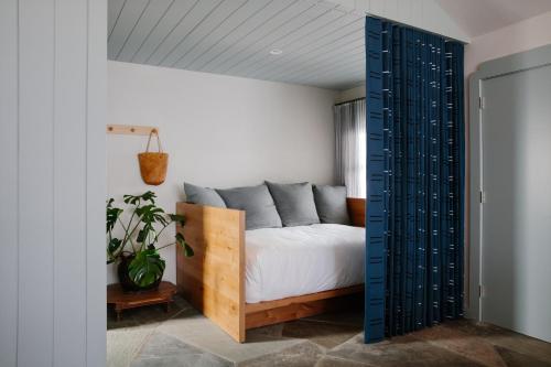 Daunt's Albatross Motel