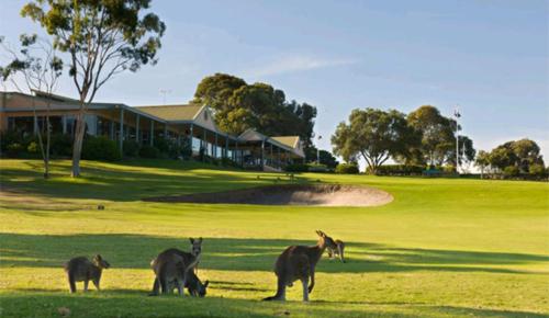 Golf course [on-site], Tocumwal Early Settlers Motel in Tocumwal