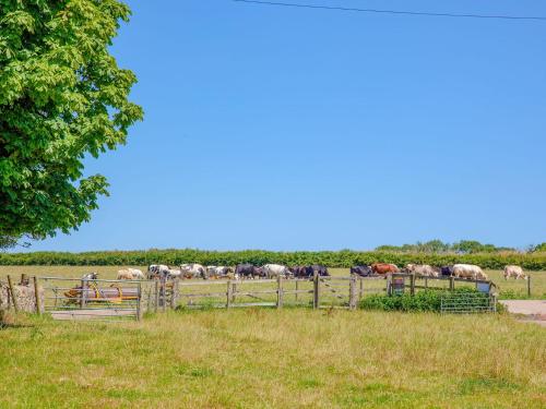 Old Highwood - Piglet Cottage