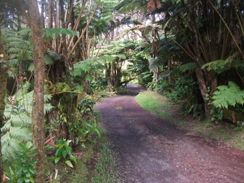 Aloha Crater Lodge and Lava Tube Tours