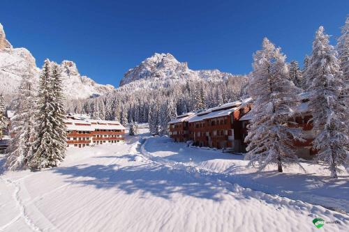 Petit Arnica - Apartment - Selva di Cadore