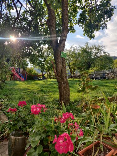 Старата къща - Трявна, Trjavna (fotografie 7)