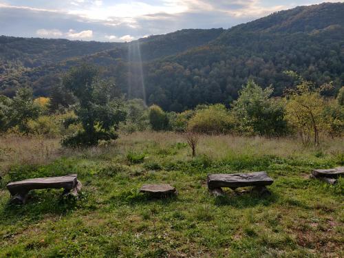 Старата къща - Трявна, Trjavna (fotografie 8)