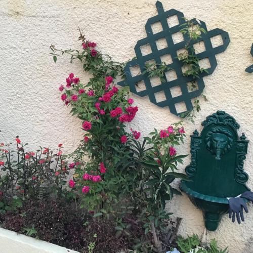 Les Capucines, Saint-Pierre (foto 7)